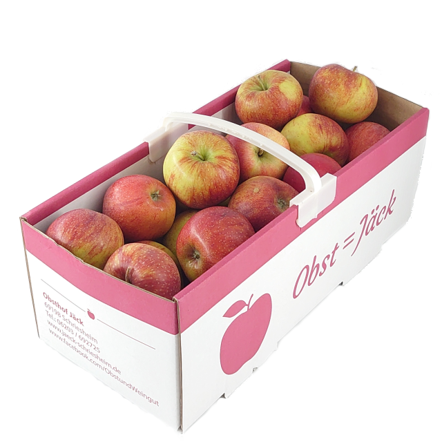 Jonagold Apfel 4 kg