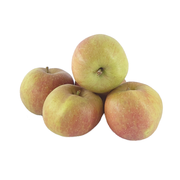 Boskop Apfel 1 kg