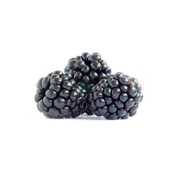 Brombeeren
