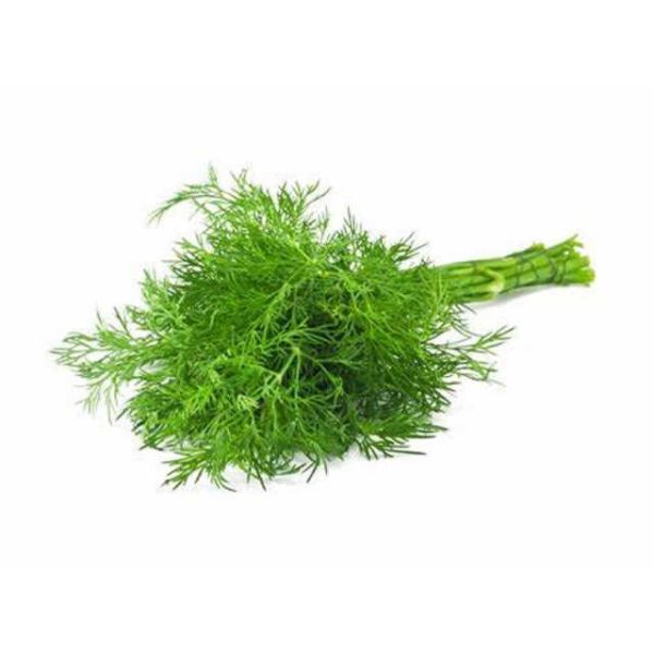 Dill