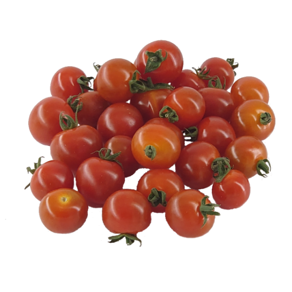 Coctailtomaten rot