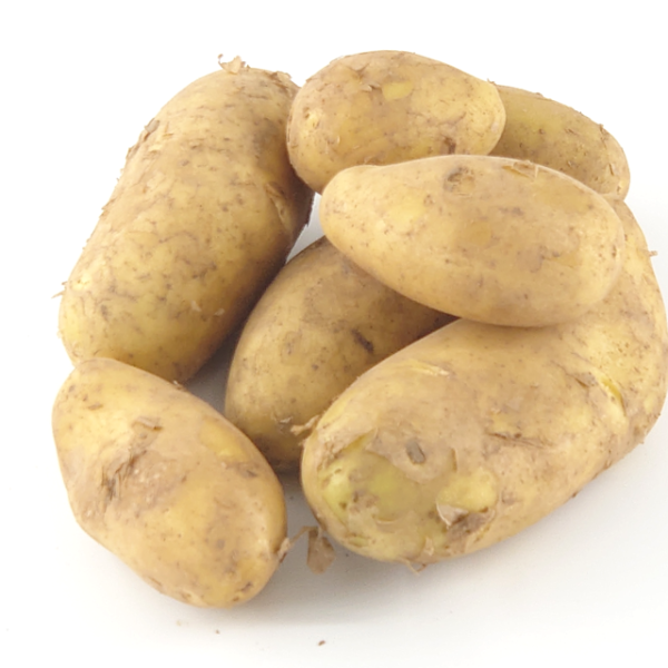 Kartoffeln mehligkochend 