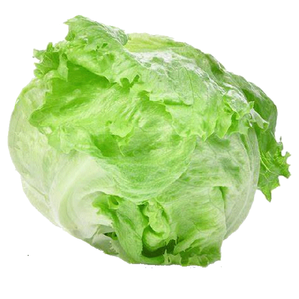 Eisbergsalat