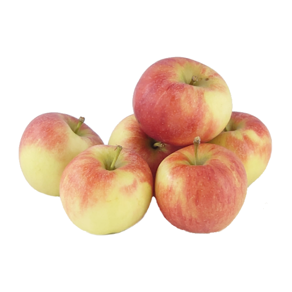 Elstar Apfel 1 kg 