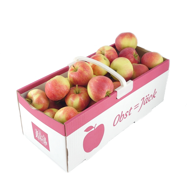 Elster Apfel  4 kg Korb