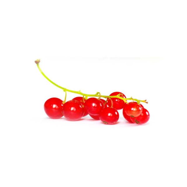 Johannisbeeren rot