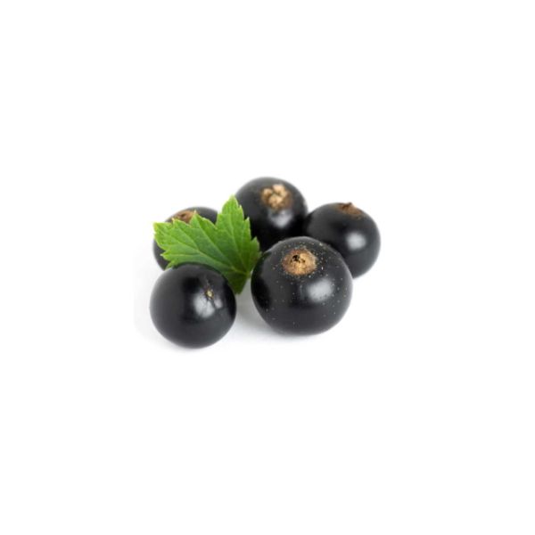Johannisbeeren schwarz