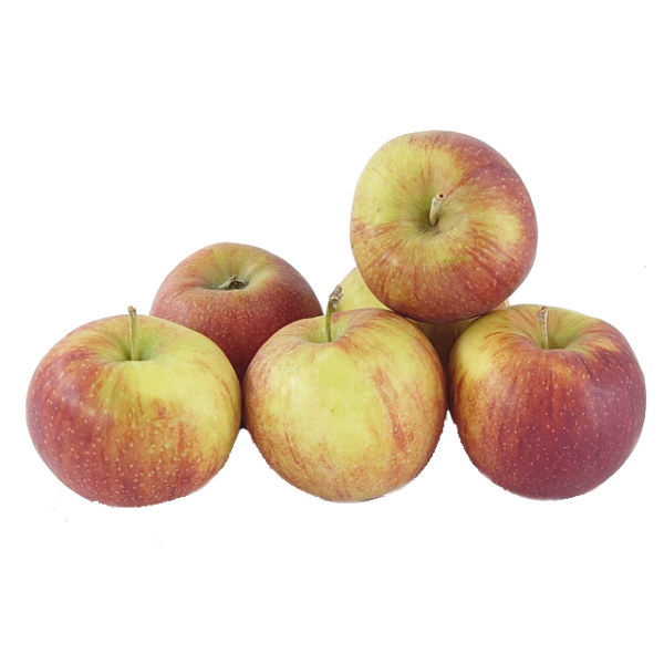 Jonagold Apfel 1 kg
