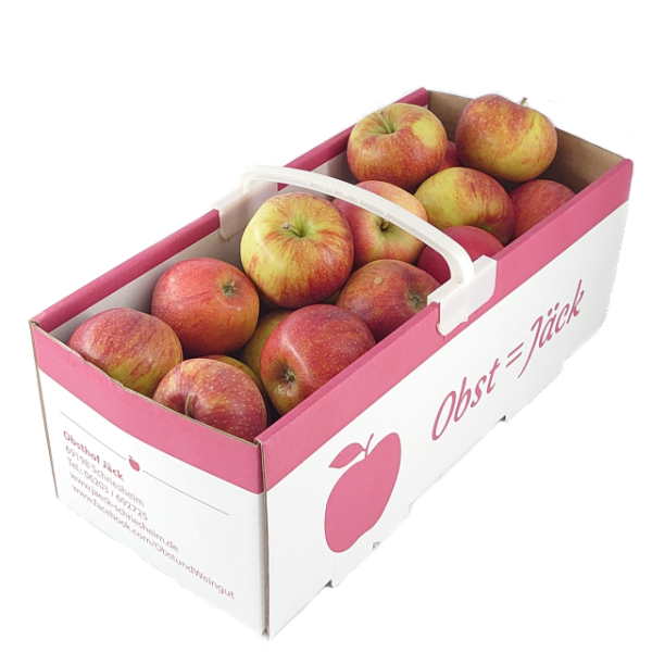 Jonagold Apfel 4 kg Korb