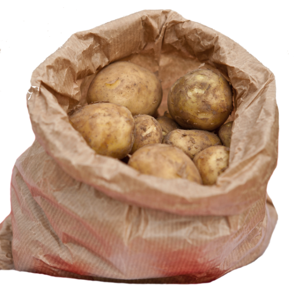 Kartoffeln mehligkochend 