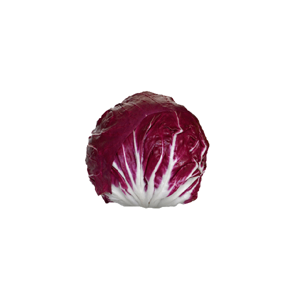 Radicchio