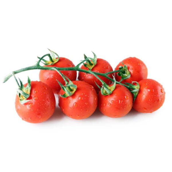 Tomaten Strauchtomaten 
