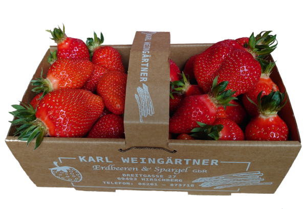 Erdbeeren-1 kg Korb