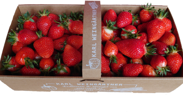Erdbeeren-2 kg Korb