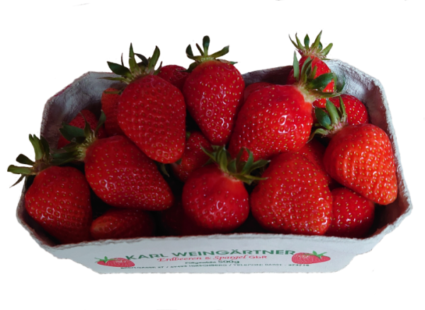 Erdbeeren-500 g Schale