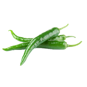 Spitzpaprika grün